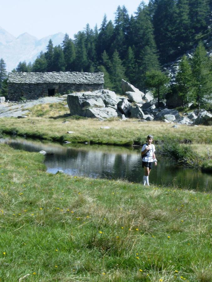 Mansarda plein soleil Villa Donnaz Dış mekan fotoğraf